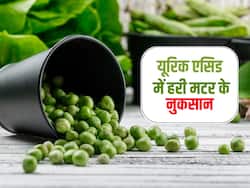 यूरिक एसिड में मटर खा सकते हैं? जानें कौन सी सब्जियां बढ़ाती हैं यूरिक एसिड का लेवल
