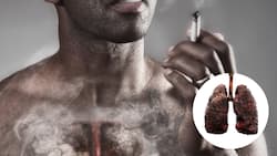 What Happens When You Smoke 10 Cigarettes A Day