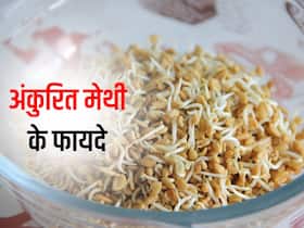 अंकुरित मेथी खाने के होते हैं ये 5 फायदे, इस तरह करें इसे तैयार
