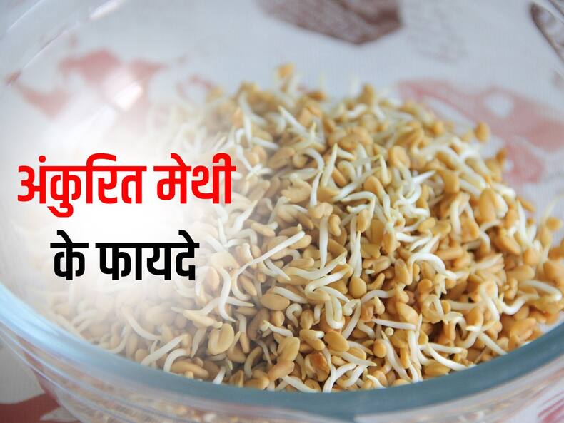 शरीर में छिपी इन 5 बीमारियों को दूर करती है अंकुरित मेथी, जानिए किस रोग में है सबसे ज्यादा फायदेमंद