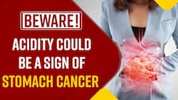 Stomach Cancer: Causes, Symptoms, And How To Prevent It