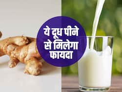 Ginger milk: सर्दियों में बीमार पड़ने से बचाएगा ये अदरक वाला दूध, जान लें पीने का सही समय