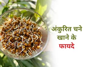 कमजोर शरीर में जान डाल देते हैं अंकुरित चने, जानिए किन बीमारियों में हैं सबसे ज्यादा फायदेमंद