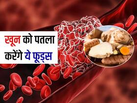 सर्दियों में होने वाला गाढ़ा खून बन सकता है हार्ट अटैक और स्ट्रोक का कारण, रोज खाएं खून पतला रखने वाली ये 5 चीजें