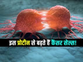 कैंसर सेल्स के साइज को बढ़ाती हैं ये 2 चीजें! जानें शरीर में कैसे फैलता है कैंसर