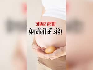 प्रेगनेंसी में अंडा खाने के फायदे