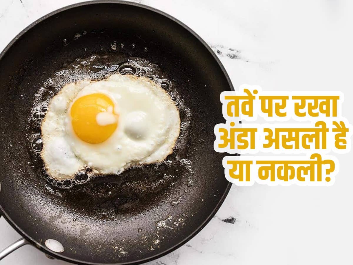 How to find real egg : नकली अंडे की पहचान कैसे करें? | TheHealthSite