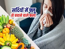 सर्दी में फ्लू और इंफेक्शन से बचने के लिए खाएं ये 5 फल! इम्यूनिटी बूस्ट करने से लेकर कैंसर का खतरा भी होगा कम