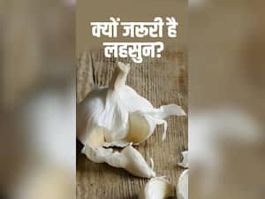 लहसुन खाने के फायदे