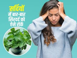 Headache in winter: ठंड बढ़ते ही बार बार होने लगता है सिरदर्द, पुदीने की पत्तियों से घर पर ही ऐसे करें इलाज