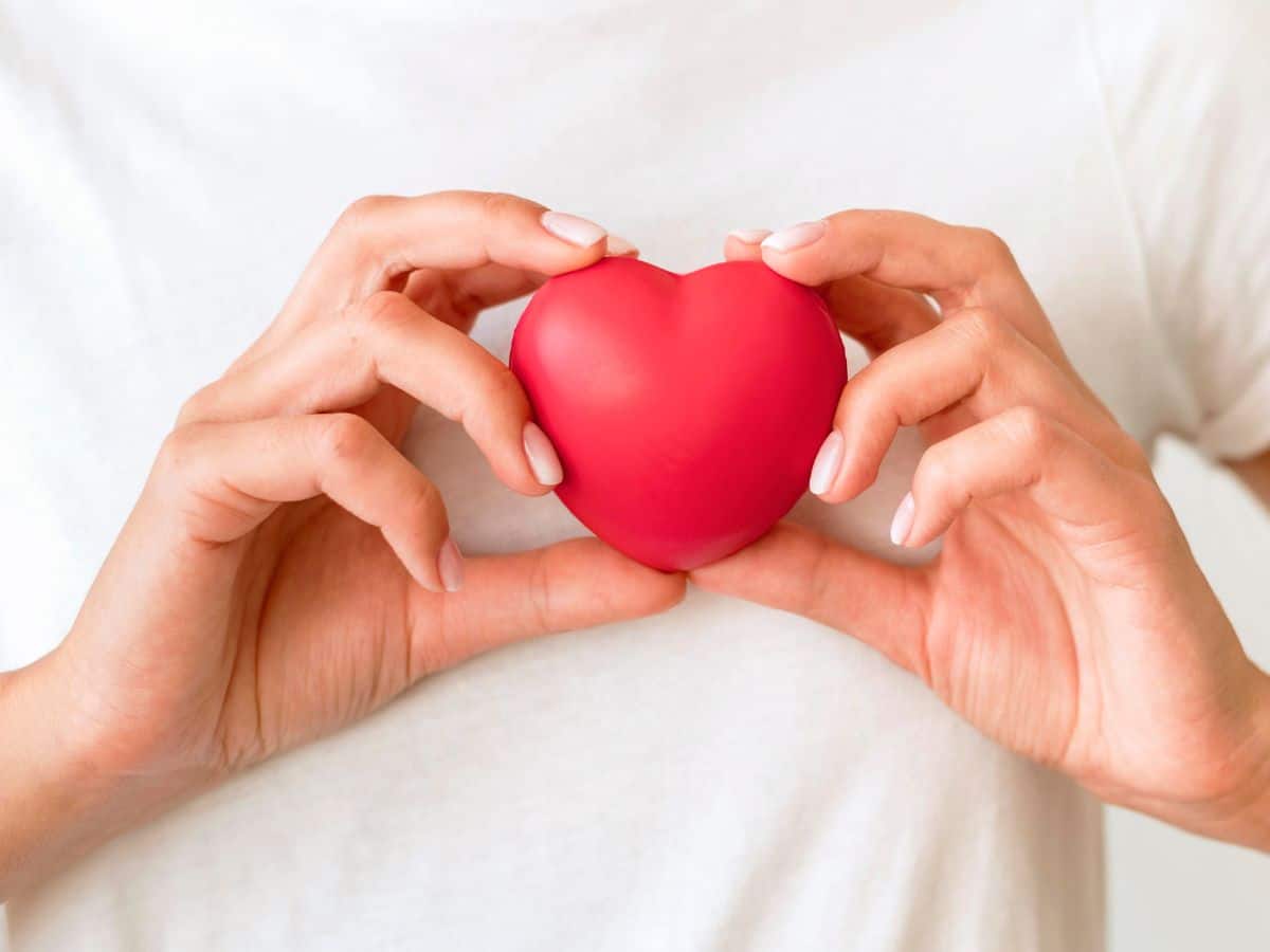 What Are The Various Causes That Lead To Heart Disease?