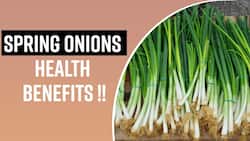 Spring Onion: Seasonal Winter Vegetable With Many Health Benefits, Watch Video