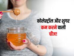 नसों में जमा कोलेस्ट्रॉल और हाई ब्लड शुगर का इलाज सिर्फ एक! जानें कितना सेवन देगा इन 2 परेशानियों में आराम