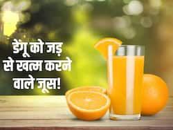 घर में बनी इन 5 ड्रिंक से डेंगू के लक्षण 3 दिन में हो जाएंगे आधे! जानें डेंगू को जड़ से खत्म करने वाली बेस्ट ड्रिंक्स