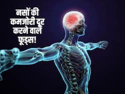 नसों की कमजोरी दूर करते हैं ये 5 फूड्स! जानें शरीर की नसों को फिर से मजबूत बनाने वाले Natural Resource
