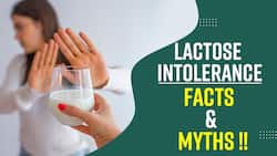 Lactose Intolerance: How To Manage Your Diet When You Are Lactose Intolerant, Watch Video