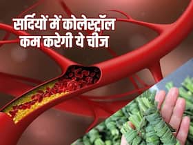 इस एक चीज के सेवन से तुरंत कम होने लगता है कोलेस्ट्रॉल, जानें ठंड में इसे इस्तेमाल करने का तरीका और अन्य फायदे इस एक चीज के सेवन से तुरंत कम होने लगता है कोलेस्ट्रॉल, जानें ठंड में इसे इस्तेमाल करने का तरीका और अन्य फायदे