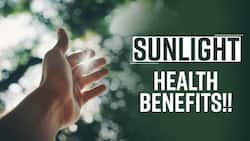Benefits Of Sunlight: Best Source Of Vitamin D, Sunlight Health Benefits, Watch Video