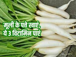 मूली के पत्ते में कौन सा विटामिन होता है? जानें इसे खाने के खास फायदे