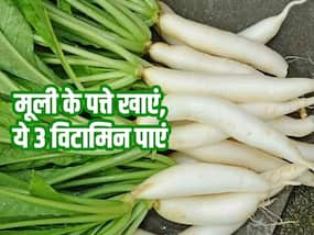मूली के पत्ते में कौन सा विटामिन होता है? जानें इसे खाने के खास फायदे