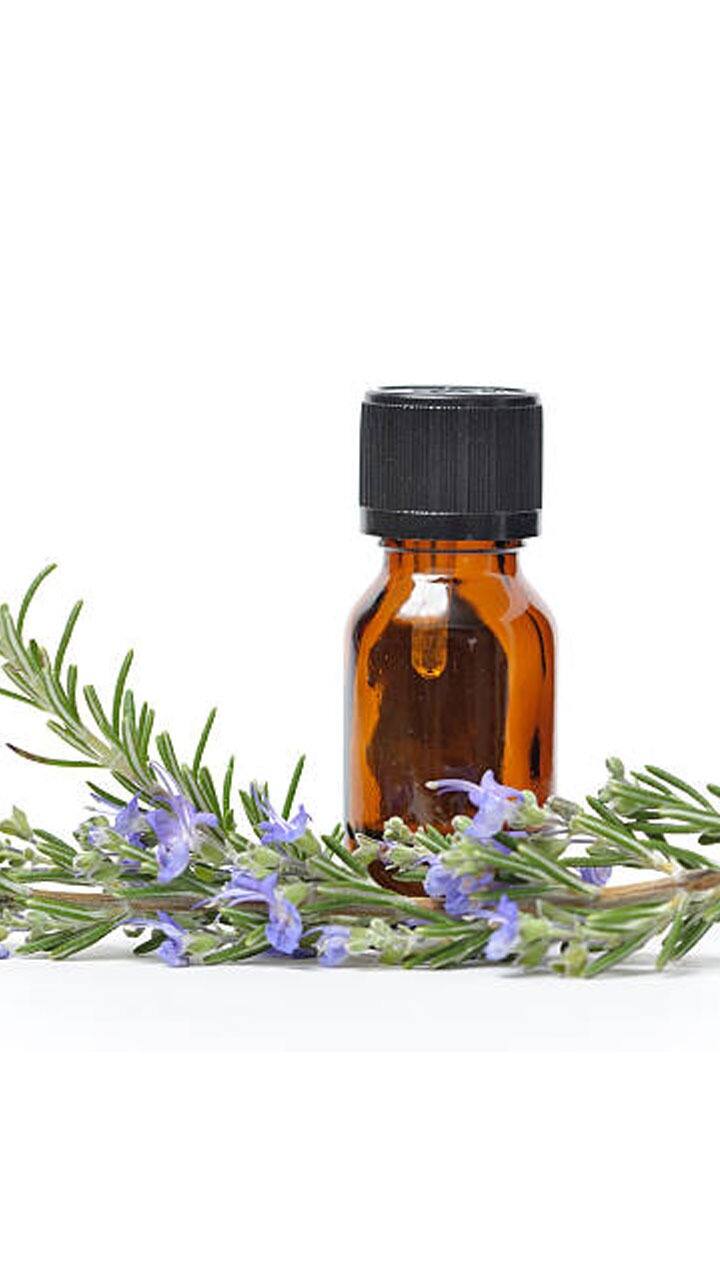 रोजमेरी ऑयल के 7 फायदे