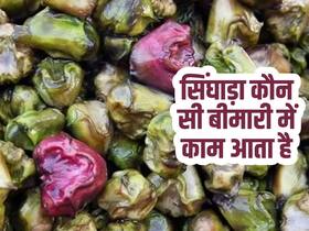 सिंघाड़ा कौन सी बीमारी में खाना चाहिए? जानिए सिंघाड़ा खाने का तरीका और फायदे