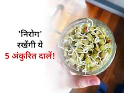 ये 5 अंकुरित दालें हैं बीमारियों से आपका 'सुरक्षा कवच'! जानें कौन सी दाल को अंकुरित करने से मिलता है फायदा