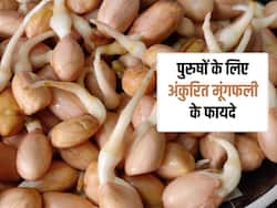 अंकुरित मूंगफली खाने से दूर हो सकती हैं पुरुषों की ये 5 समस्याएं, मिलेंगे खास फायदे