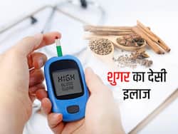 शुगर लेवल को कम करती हैं ये 3 घरेलू जड़ी बूटियां, एक्सपर्ट ने बताया शुगर का देसी इलाज