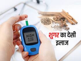 शुगर लेवल को कम करती हैं ये 3 घरेलू जड़ी बूटियां, एक्सपर्ट ने बताया शुगर का देसी इलाज