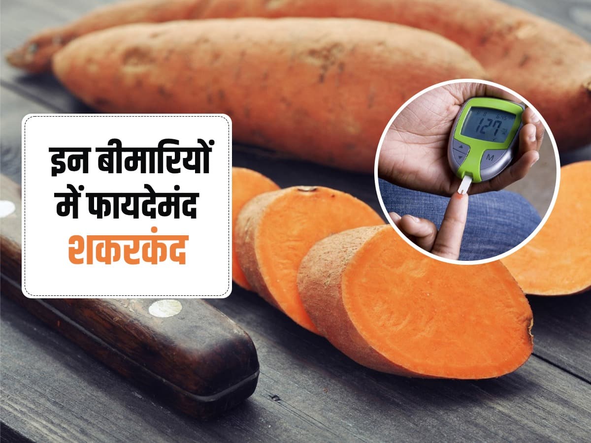 आंतों को सड़ने से रोकता है शकरकंद, सर्दियों में रोज Sweet potato शरीर