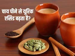 क्या यूरिक एसिड में चाय ले सकते हैं? जानें किस चीज की चाय है सबसे ज्यादा फायदेमंद