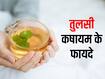 तुलसी कषायम से दूर होती खांसी और जुकाम की समस्या, जानिए क्यों फायदेमंद है ये गुणकारी पेय