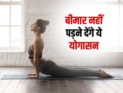 Yoga: सर्दियों में बार-बार दवाएं लेकर परेशान? रोज सुबह 15 मिनट करें ये 5 योगासन, शरीर रहेगा एक्टिव दूर होंगी बीमारियां