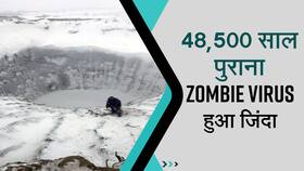 Zombie Virus: साइबेरिया से 48,5000 साल पुराना वायरस हुआ जिंदा, साइंटिस्टों ने दी चेतावनी, Watch Video