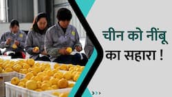 Coronavirus: चीन में हालात बेकाबू, क्या कोरोना से बचाएगा नींबू? Watch Video