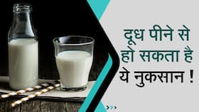 Milk: क्या आप भी रात को सोने से पहले पीते हैं दूध? तो जरूर देखें ये Video Milk: क्या आप भी रात को सोने से पहले पीते हैं दूध? तो जरूर देखें ये Video