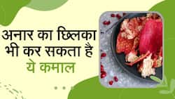 Pomegranate: इस फल का छिलका है आपके लिए बड़े काम का, Watch Video