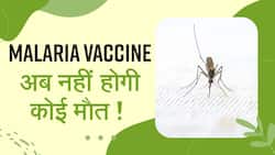 Malaria अब होगा दुनिया से गायब, वैज्ञानिकों ने बनाई 2 नई वैक्सीन, Watch Video