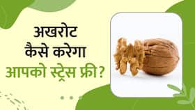 ये Dryfruit आपको करेगा Stress Free, जानें कैसे ? Watch Video ये Dryfruit आपको करेगा Stress Free, जानें कैसे ? Watch Video
