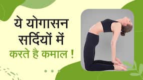 Yoga For Winter: सर्दियों में करें ये योगासन, होगा अधिक लाभ, Watch Video