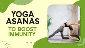 Yoga For Immunity: Yoga Asanas For Better Immunity & Overall Health, Watch Video