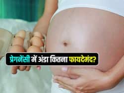 Pregnancy में अंडा खाना चाहिए या नहीं? जानें गर्भ में पल रहे बच्चे के लिए अंडे कितना फायदेमंद