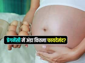 Pregnancy में अंडा खाना चाहिए या नहीं? जानें गर्भ में पल रहे बच्चे के लिए अंडे कितना फायदेमंद