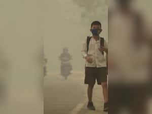 How Can Smog And Pollution Disturb A Child’s Health?