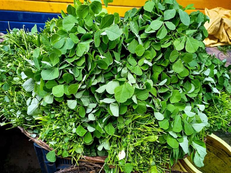 Six Steps To Take Care Of Your Kidneys During Winters