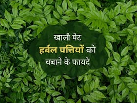 खाली पेट इन 5 पत्तों को चबाने से बीमारियां रहेंगी कोसों दूर, जानिए किस बीमारी में कौन सी पत्तियां है ज्यादा फायदेमंद