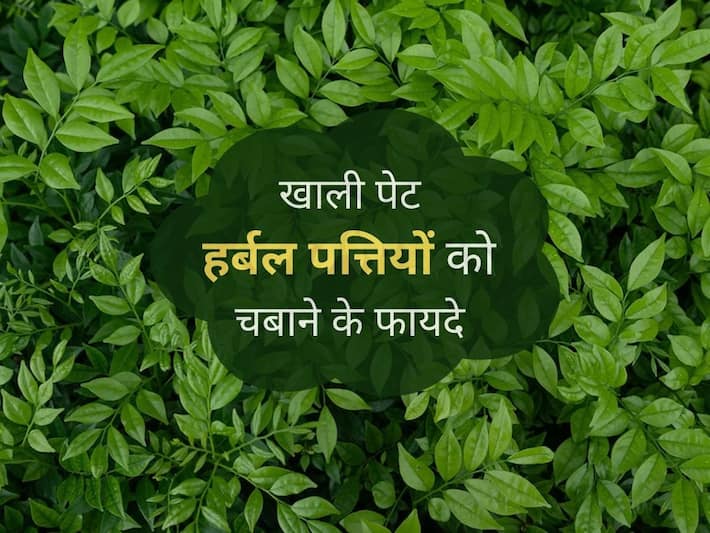 सुबह खाली पेट चबाएं ये पत्तियां | Benefits of Herbal Leaves on Empty