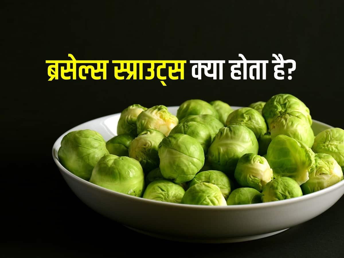 Brussels Sprouts Meaning In Arabic