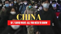 COVID Rips Through China: Sichuan Sees 'Sharp Rise' In Cases, Over 60% People Test Positive